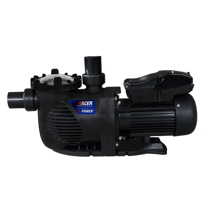 POMPE PISCINE RACER E-POWER BI-VITESSE 1.5cv 3 POMPE PISCINE RACER E-POWER BI-VITESSE 1.5cv